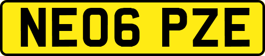 NE06PZE