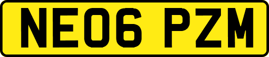 NE06PZM