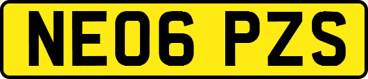 NE06PZS