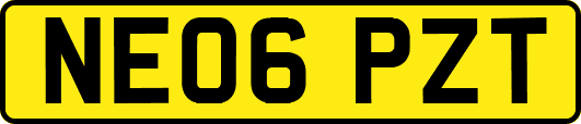 NE06PZT