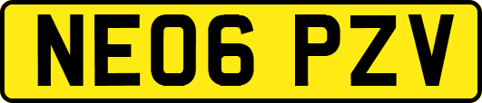 NE06PZV