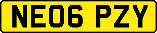 NE06PZY