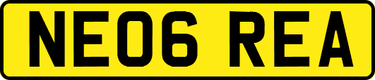 NE06REA