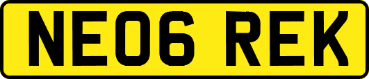 NE06REK