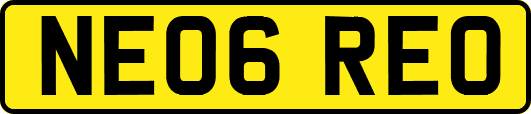 NE06REO