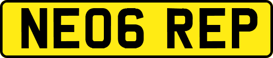 NE06REP