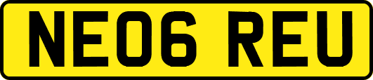 NE06REU