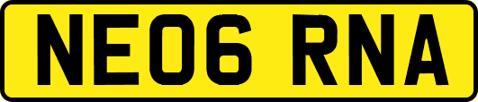 NE06RNA
