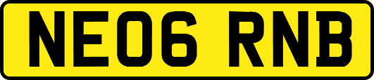 NE06RNB