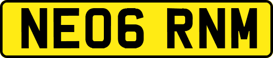 NE06RNM