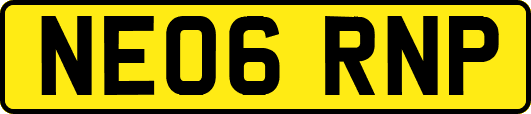 NE06RNP