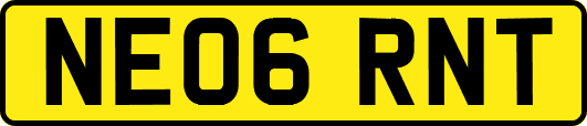 NE06RNT