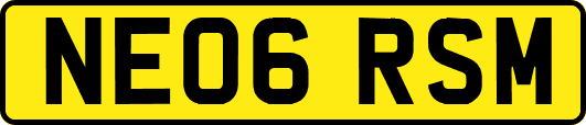 NE06RSM