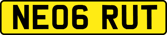 NE06RUT