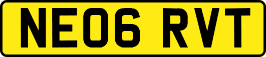 NE06RVT
