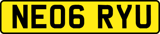 NE06RYU