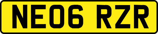 NE06RZR