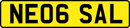 NE06SAL