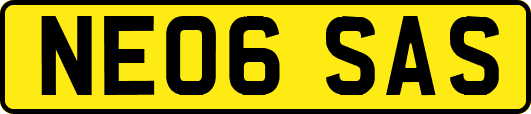 NE06SAS