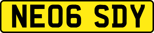 NE06SDY