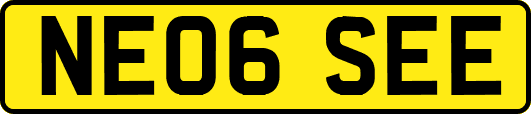 NE06SEE