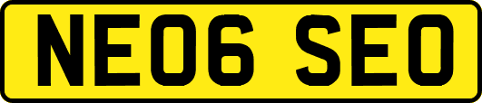 NE06SEO