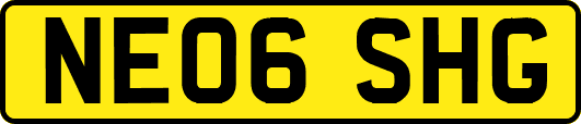 NE06SHG