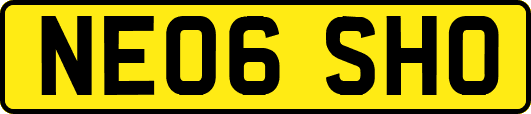 NE06SHO