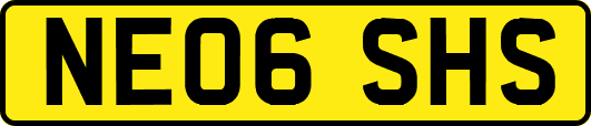 NE06SHS