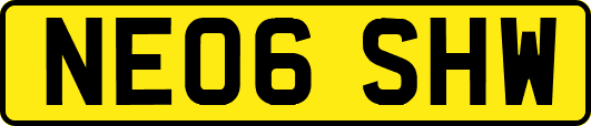 NE06SHW