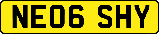 NE06SHY