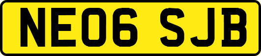 NE06SJB