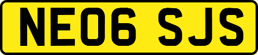 NE06SJS