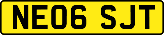 NE06SJT