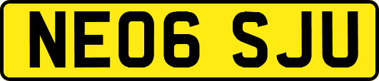 NE06SJU