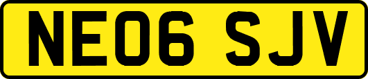 NE06SJV