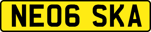NE06SKA