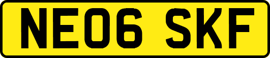 NE06SKF
