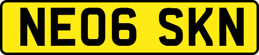 NE06SKN