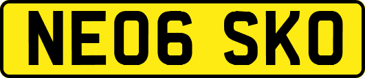 NE06SKO