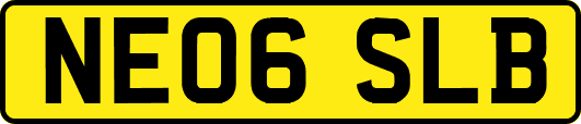 NE06SLB