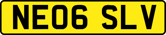 NE06SLV