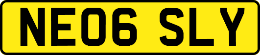 NE06SLY
