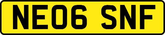 NE06SNF