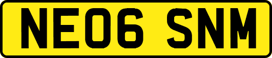 NE06SNM