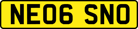 NE06SNO