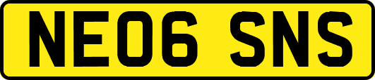NE06SNS