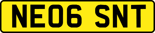 NE06SNT