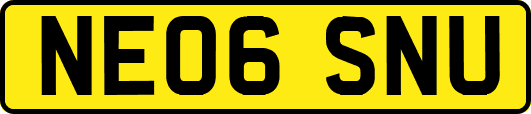 NE06SNU