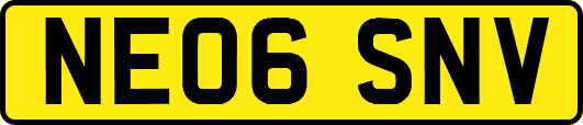 NE06SNV